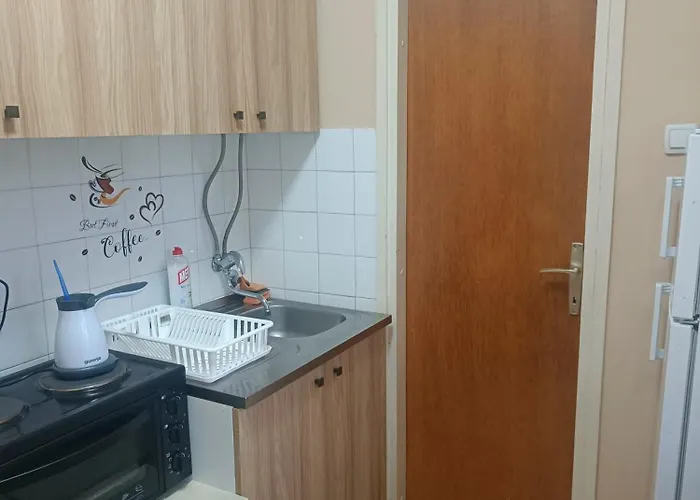 Putnik * Vrnjačka Banja